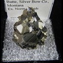 Mineral Specimen: Pyrite, Enargite from Leonard Mine, Butte, Silver Bow Co., Montana, Ex. Norm Woods