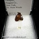 Mineral Specimen: Sphalerite, Gemmy from Lockport, Niagara Co., New York, Ex. Norm Woods Mineral Specimen: Sphalerite, Gemmy from Lockport, Niagara Co., New York, Ex. Norm Woods