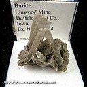 Mineral Specimen: Barite from Linwood Mine, Buffalo, Scott Co., Iowa, Ex. Norm Woods