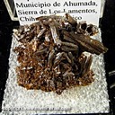 Mineral Specimen: Vanadinite varierty: Endlichite from Mina Erupcion, Sierra de Los Lamentos, Muncipio de Ahumada, Chihuahua, Mexico