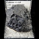 Mineral Specimen: Galena crystal with unusual habit from Tri-State District, Missouri, Ex. Norm Woods