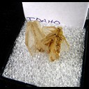 Mineral Specimen: Cerussite from Idaho, Ex Norm Woods