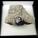 Mineral Specimen: Sphalerite and small twinned Calcite from Cessford Quarry, Biggsville, Henderson Co., Illinois, Collected by Norm Woods, 2009