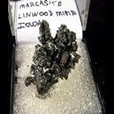 Mineral Specimen: Marcasite from Linwood Quarry, Buffalo, Scott Co., Iowa, Ex. Norm Woods