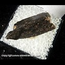 Mineral Specimen: Allanite-CE - partial crystal from Red Rock Prospect, Washoe Co., Nevada, Ex. S. Pullman Mineral Specimen: Allanite-CE - partial crystal from Red Rock Prospect, Washoe Co., Nevada, Ex. S. Pullman