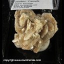 Mineral Specimen: Polylithionite from Silbergrube, Waidhaus, Neustadt an der Waldnaab District, Upper Palatinate, Bavaria, German