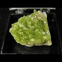 Minerals Specimen: Vesuvianite from Asbestos, Quebec, Canada Minerals Specimen: Vesuvianite from Asbestos, Quebec, Canada