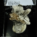 Minerals Specimen: Topaz, Bixbyite from Topaz Mtn., Thomas Range, Juab Co., Utah Minerals Specimen: Topaz, Bixbyite from Topaz Mtn., Thomas Range, Juab Co., Utah