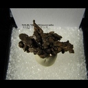 Minerals Specimen: Copper from Bisbee, Arizona Minerals Specimen: Copper from Bisbee, Arizona
