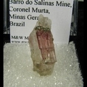 Minerals Specimen: Tourmaline on Quartz from Barro do Salinas, Minas Gerais, Brazil Minerals Specimen: Tourmaline on Quartz from Barro do Salinas, Minas Gerais, Brazil