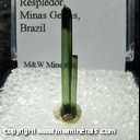 Minerals Specimen: Tourmaline from Resplendor, Minas Gerais, Brazil Minerals Specimen: Tourmaline from Resplendor, Minas Gerais, Brazil