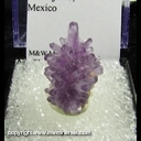 Minerals Specimen: Amethyst from Guanajuato, Mexico Minerals Specimen: Amethyst from Guanajuato, Mexico