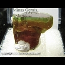 Minerals Specimen: Tourmaline, Bicolor from Coronel Murta, Minas Gerais, Brazil Minerals Specimen: Tourmaline, Bicolor from Coronel Murta, Minas Gerais, Brazil