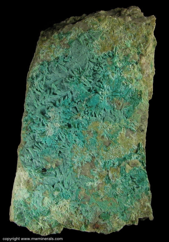 Mineral Specimen: Chrysocolla pseudomorph after Brochantite from Morenci, Greenlee Co., Arizona, USA