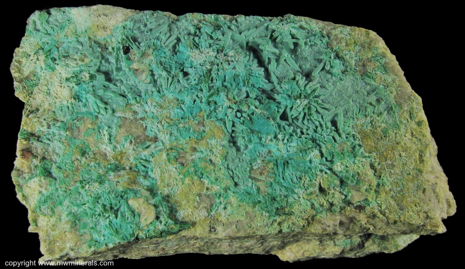 Mineral Specimen: Chrysocolla pseudomorph after Brochantite from Morenci, Greenlee Co., Arizona, USA