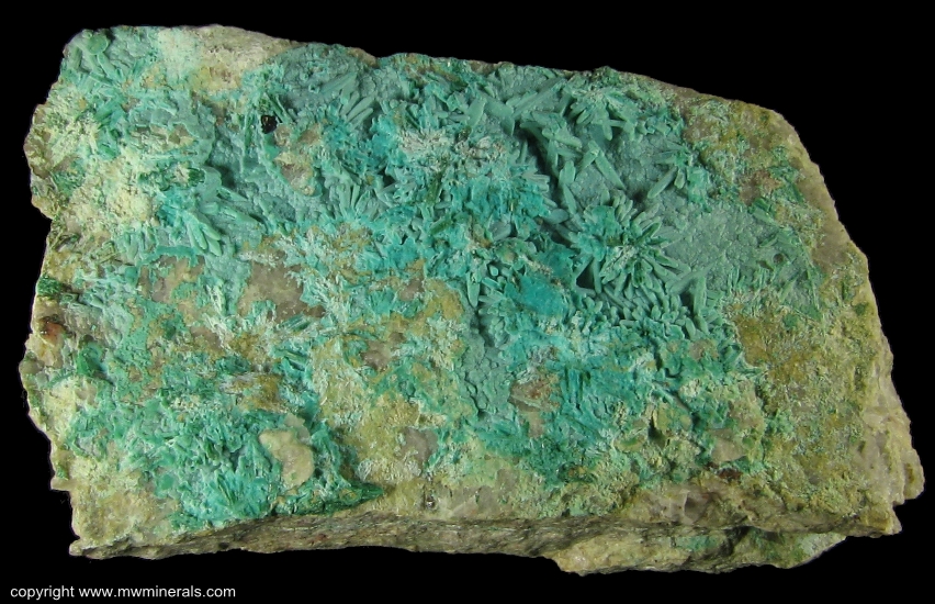 Mineral Specimen: Chrysocolla pseudomorph after Brochantite from Morenci, Greenlee Co., Arizona, USA