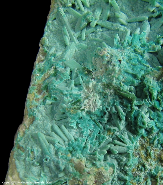 Mineral Specimen: Chrysocolla pseudomorph after Brochantite from Morenci, Greenlee Co., Arizona, USA