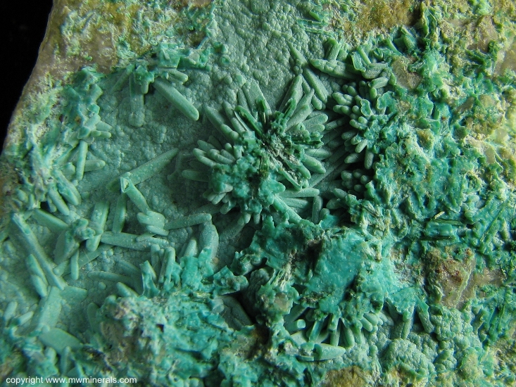 Mineral Specimen: Chrysocolla pseudomorph after Brochantite from Morenci, Greenlee Co., Arizona, USA