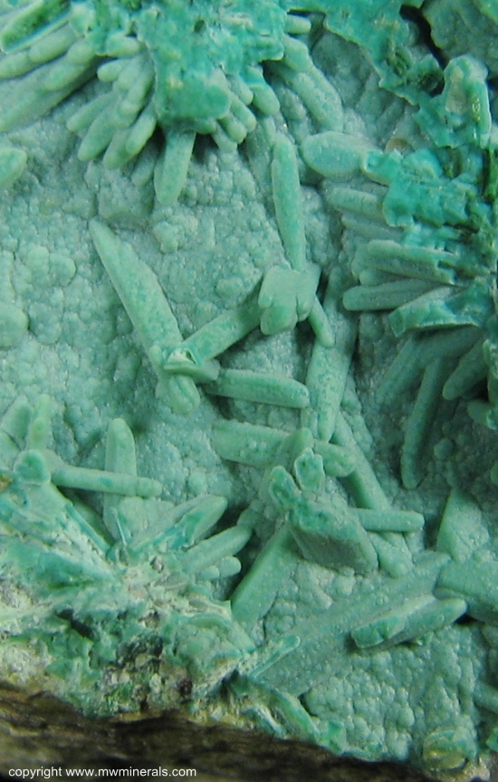 Mineral Specimen: Chrysocolla pseudomorph after Brochantite from Morenci, Greenlee Co., Arizona, USA