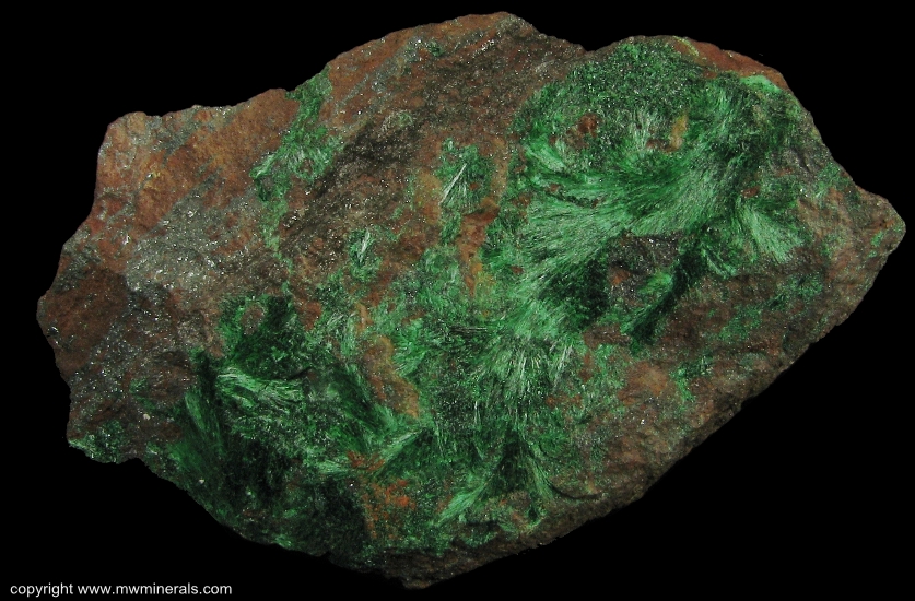 Mineral Specimen: Fibrous Malachite from Copper Queen Mine, Queen Hill, Bisbee, Warren District, Mule Mts, Cochise Co., Arizona, USA