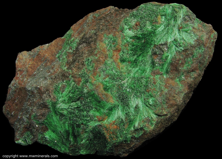 Mineral Specimen: Fibrous Malachite from Copper Queen Mine, Queen Hill, Bisbee, Warren District, Mule Mts, Cochise Co., Arizona, USA