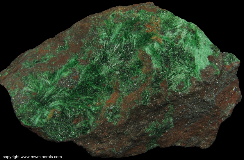 Mineral Specimen: Fibrous Malachite from Copper Queen Mine, Queen Hill, Bisbee, Warren District, Mule Mts, Cochise Co., Arizona, USA