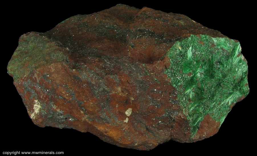 Mineral Specimen: Fibrous Malachite from Copper Queen Mine, Queen Hill, Bisbee, Warren District, Mule Mts, Cochise Co., Arizona, USA