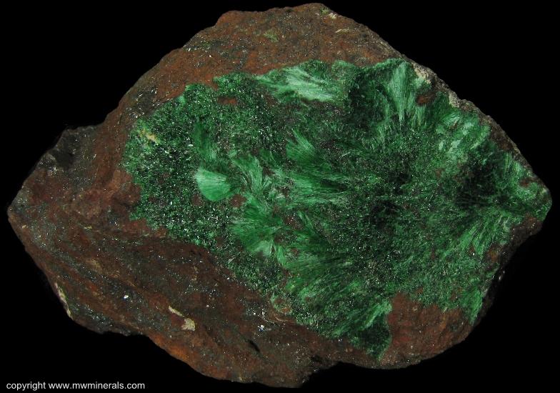 Mineral Specimen: Fibrous Malachite from Copper Queen Mine, Queen Hill, Bisbee, Warren District, Mule Mts, Cochise Co., Arizona, USA