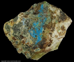 Mineral Specimen: Cyanotrichite from Blanchard Mine, Bingham, Hansonburg District, Socorro County, New Mexico Mineral Specimen: Cyanotrichite from Blanchard Mine, Bingham, Hansonburg District, Socorro County, New Mexico