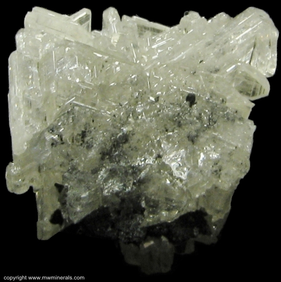 Mineral Specimen: Cerussite Reticulated Twins from Tsumeb, Namibia