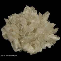 Minerals Specimen: Danburite Cluster from Charcas, San Luis Potosi, Mexico