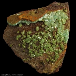 Minerals Specimen: Cuprian Adamite from Mina Ojuela, Mapimi, Durango, Mexico