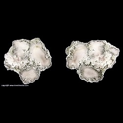 Minerals Specimen: Datolite from Lake Mine, Mass City, Ontonagon County, Michigan, USA Minerals Specimen: Datolite from Lake Mine, Mass City, Ontonagon County, Michigan, USA