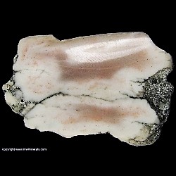 Minerals Specimen: Datolite from Flint Steel Mine, Ontonagon County, Michigan, USA Minerals Specimen: Datolite from Flint Steel Mine, Ontonagon County, Michigan, USA