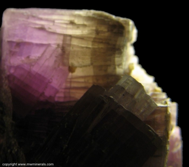 Mineral Specimen: Lepidolite from Coronel Murta, Minas Gerais, Brazil
