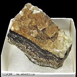 Mineral Specimen: Fluorite from Wolsendorf Fluorite mining District, Schwandorf, Upper Palatinate, Bavaria, Germany