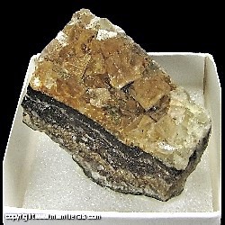 Mineral Specimen: Fluorite from Wolsendorf Fluorite mining District, Schwandorf, Upper Palatinate, Bavaria, Germany Mineral Specimen: Fluorite from Wolsendorf Fluorite mining District, Schwandorf, Upper Palatinate, Bavaria, Germany