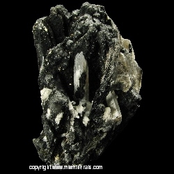 Minerals Specimen: Schorl Tourmaline and Quartz from Santa Cruz, Sonora, Mexico Minerals Specimen: Schorl Tourmaline and Quartz from Santa Cruz, Sonora, Mexico