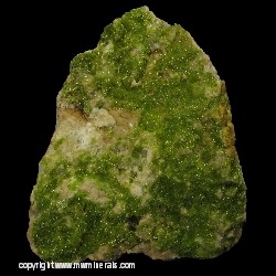 Minerals Specimen: Pyromorphite from Wheatley Mines, Phoenixville Mining District, Schuylkill Township, Chester Co., Pennsylvania, USA Minerals Specimen: Pyromorphite from Wheatley Mines, Phoenixville Mining District, Schuylkill Township, Chester Co., Pennsylvania, USA
