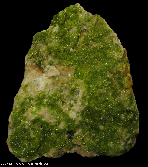 Mineral Specimen: Pyromorphite from Wheatley Mines, Phoenixville Mining District, Schuylkill Township, Chester Co., Pennsylvania, USA