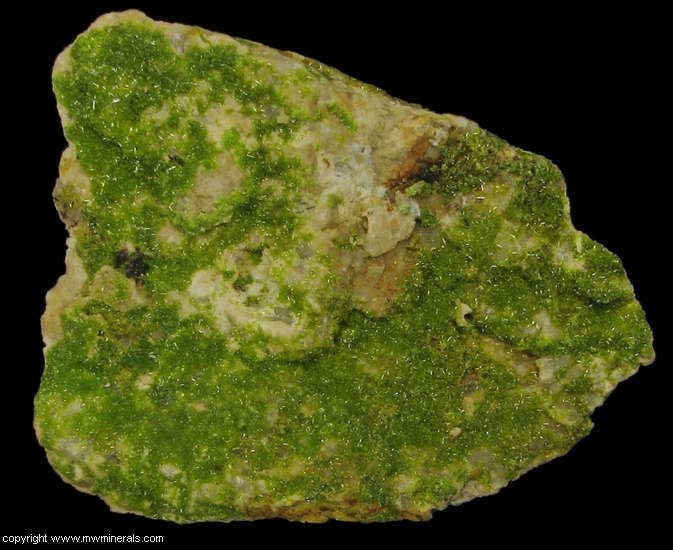 Mineral Specimen: Pyromorphite from Wheatley Mines, Phoenixville Mining District, Schuylkill Township, Chester Co., Pennsylvania, USA