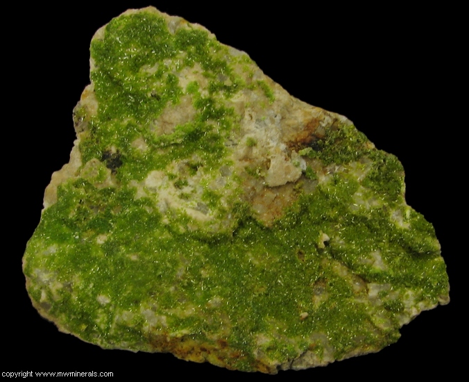 Mineral Specimen: Pyromorphite from Wheatley Mines, Phoenixville Mining District, Schuylkill Township, Chester Co., Pennsylvania, USA