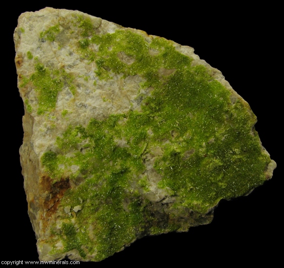Mineral Specimen: Pyromorphite from Wheatley Mines, Phoenixville Mining District, Schuylkill Township, Chester Co., Pennsylvania, USA