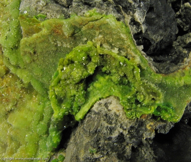 Mineral Specimen: Galena, Cerussite, Pyromorphite and Quartz from Wheatley Mines, Phoenixville Mining District, Schuylkill Township, Chester Co., Pennsylvania, USA