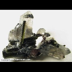 Minerals Specimen: Tourmaline, Quartz, Lepidolite, Albite and Fluorapatite from Pederneira Mine, Sao Jose da Safira, Minas Gerais, Brazil Minerals Specimen: Tourmaline, Quartz, Lepidolite, Albite and Fluorapatite from Pederneira Mine, Sao Jose da Safira, Minas Gerais, Brazil