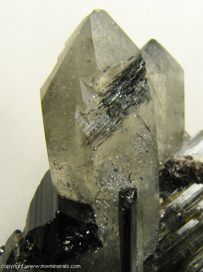 Mineral Specimen: Tourmaline, Quartz, Lepidolite, Albite and Fluorapatite from Pederneira Mine, Sao Jose da Safira, Minas Gerais, Brazil