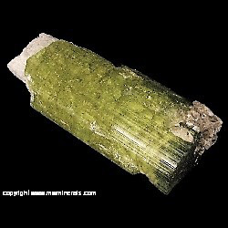 Mineral Specimen: Tourmaline with inner core replaced with Quartz from Urubu mine, Monte Belo, Itinga, Jequitinhonha valley, Minas Gerais, Brazil Mineral Specimen: Tourmaline with inner core replaced with Quartz from Urubu mine, Monte Belo, Itinga, Jequitinhonha valley, Minas Gerais, Brazil