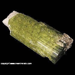 Mineral Specimen: Tourmaline with inner core replaced with Quartz from Urubu mine, Monte Belo, Itinga, Jequitinhonha valley, Minas Gerais, Brazil