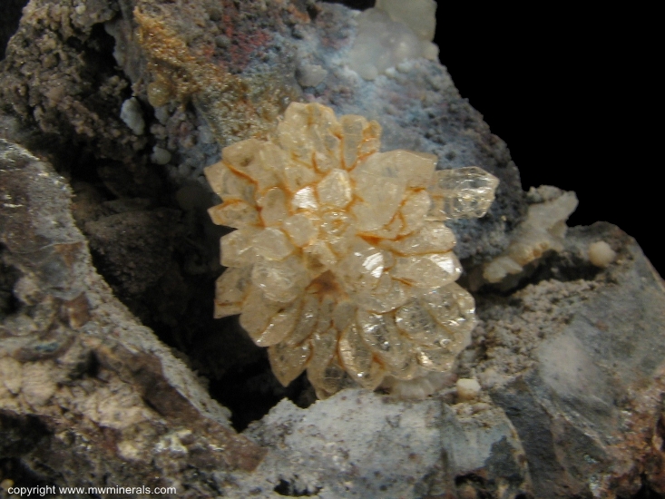 Mineral Specimen: Tangerine Quartz Flowers from Sonora, Mexico