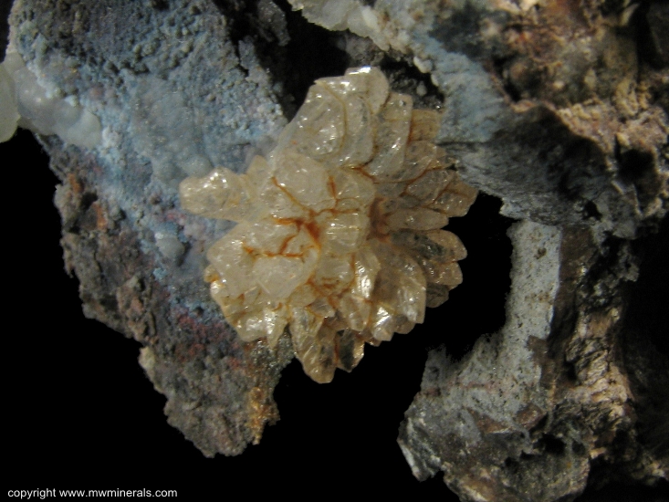 Mineral Specimen: Tangerine Quartz Flowers from Sonora, Mexico